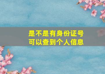 是不是有身份证号可以查到个人信息