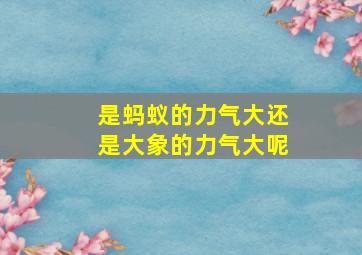 是蚂蚁的力气大还是大象的力气大呢