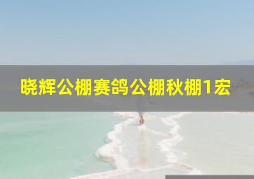 晓辉公棚赛鸽公棚秋棚1宏