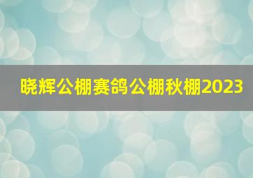 晓辉公棚赛鸽公棚秋棚2023