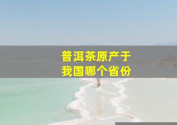 普洱茶原产于我国哪个省份