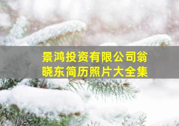 景鸿投资有限公司翁晓东简历照片大全集