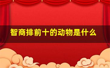 智商排前十的动物是什么