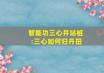 智能功三心并站桩:三心如何归丹田