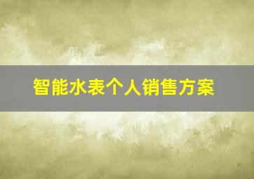 智能水表个人销售方案