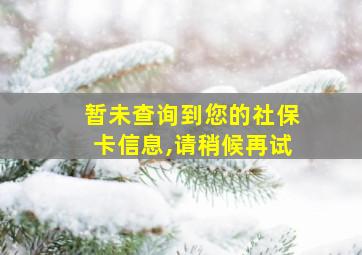 暂未查询到您的社保卡信息,请稍候再试