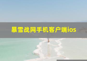 暴雪战网手机客户端ios