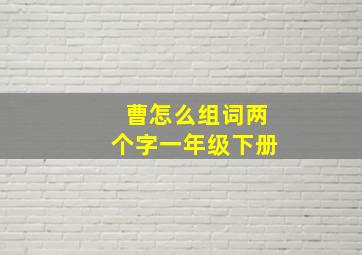 曹怎么组词两个字一年级下册