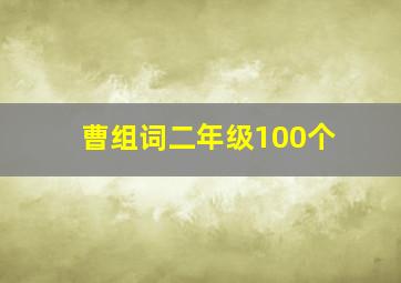 曹组词二年级100个