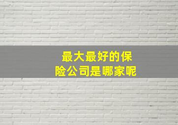 最大最好的保险公司是哪家呢