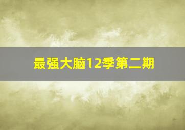 最强大脑12季第二期