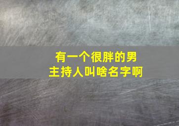 有一个很胖的男主持人叫啥名字啊