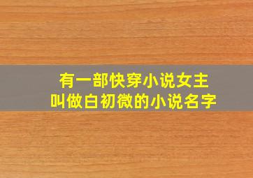 有一部快穿小说女主叫做白初微的小说名字