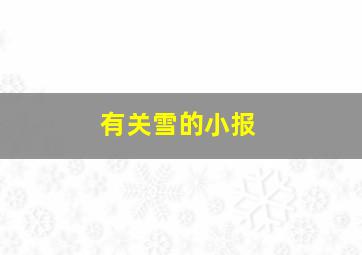 有关雪的小报