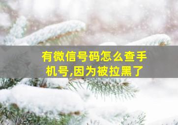 有微信号码怎么查手机号,因为被拉黑了