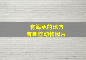 有海豚的地方有哪些动物图片