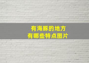 有海豚的地方有哪些特点图片