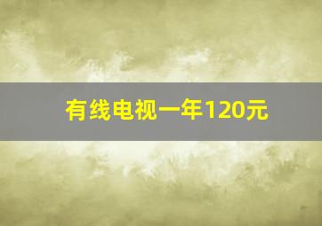 有线电视一年120元