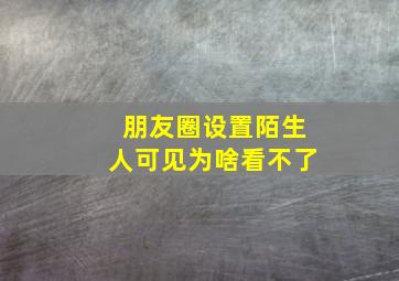 朋友圈设置陌生人可见为啥看不了