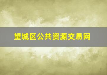 望城区公共资源交易网