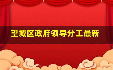 望城区政府领导分工最新