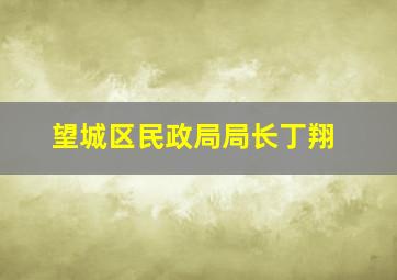 望城区民政局局长丁翔