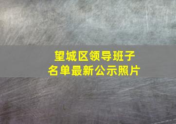 望城区领导班子名单最新公示照片