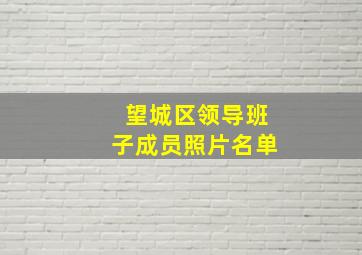 望城区领导班子成员照片名单