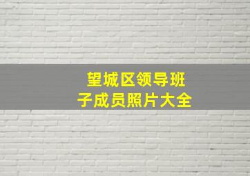 望城区领导班子成员照片大全