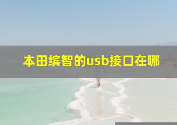 本田缤智的usb接口在哪