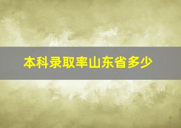 本科录取率山东省多少