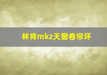 林肯mkz天窗卷帘坏