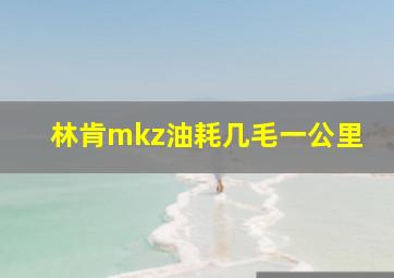 林肯mkz油耗几毛一公里