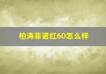 柏涛菲诺红60怎么样