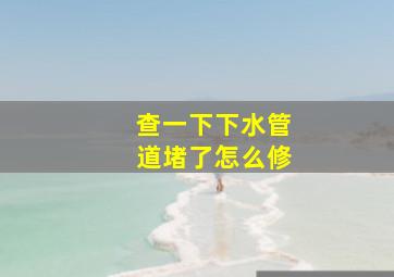 查一下下水管道堵了怎么修