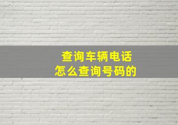 查询车辆电话怎么查询号码的