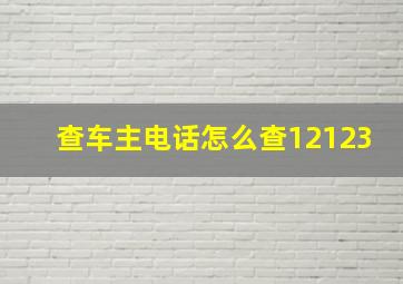 查车主电话怎么查12123