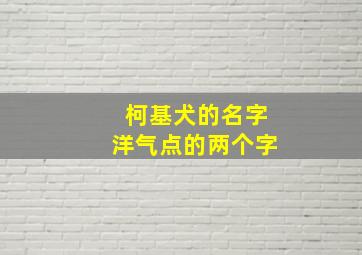 柯基犬的名字洋气点的两个字