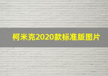 柯米克2020款标准版图片