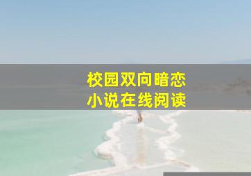 校园双向暗恋小说在线阅读