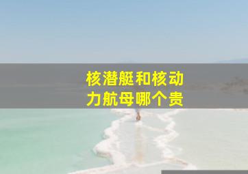 核潜艇和核动力航母哪个贵