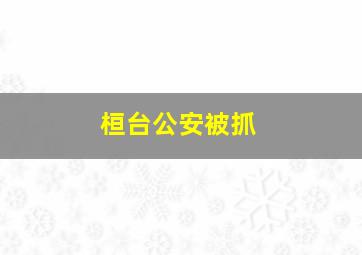 桓台公安被抓