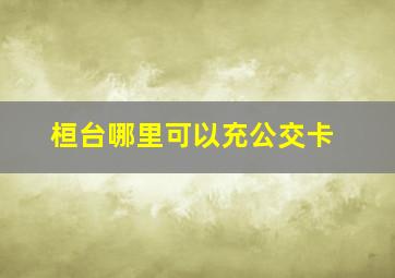 桓台哪里可以充公交卡