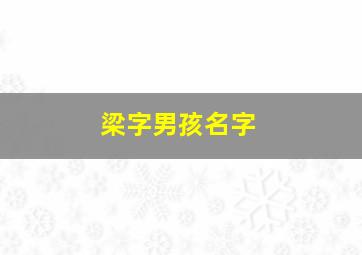 梁字男孩名字