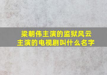 梁朝伟主演的监狱风云主演的电视剧叫什么名字