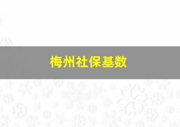 梅州社保基数