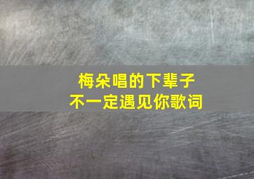 梅朵唱的下辈子不一定遇见你歌词