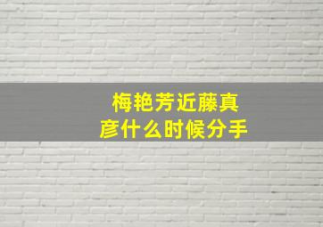 梅艳芳近藤真彦什么时候分手