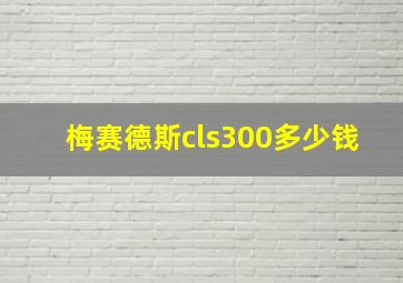 梅赛德斯cls300多少钱