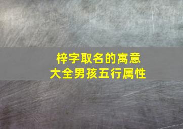 梓字取名的寓意大全男孩五行属性